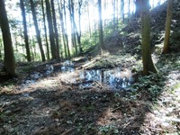 水の手曲輪と思われる辺り