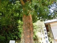 「熊野神社なぎ」