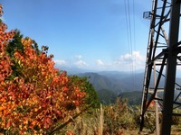 ナンキンハゼの紅葉