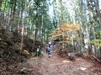 土佐坂から見た仁王門