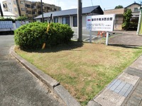 竜洋西会館入口の芝