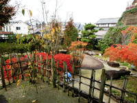 庭園の紅葉