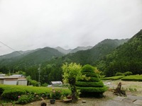 野田