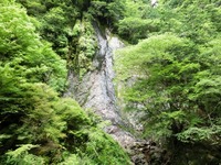 布滝