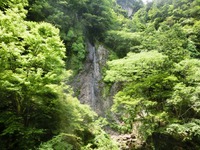 「布滝」