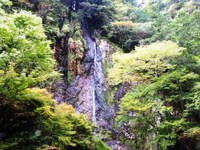 布滝