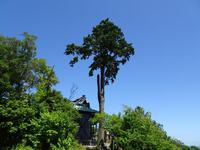 小笠神社