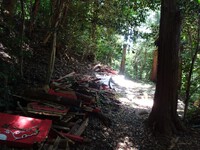 石巻神社を訪れ、石巻山に登る⑨―奥宮と「このしろ池」