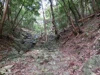 奥の院への参道