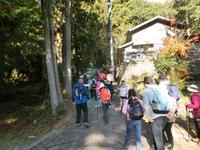 山道に入った表参道