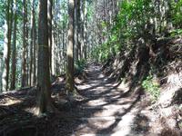 表参道の山道