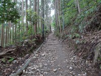 表参道