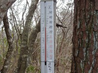 22℃