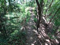 狭い尾根道