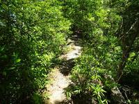狭い尾根道