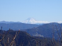 冠雪の富士山