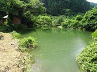 竜ヶ池