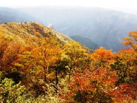 竜頭山の紅葉