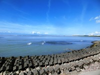 竜洋海岸