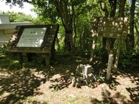 竜頭山の山頂