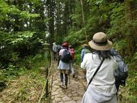石畳の坂