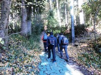 秋葉山表参道