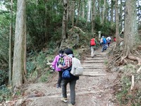 秋葉山表参道