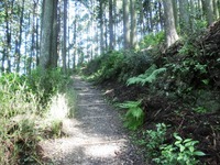 秋葉山表参道