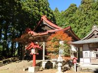 秋葉寺の紅葉