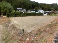 三角形の畑