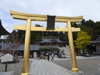 黄金の鳥居