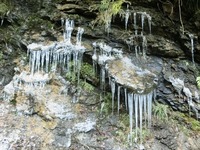 佐久間の「氷柱のカーテン」