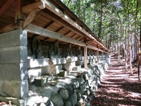 松山公園に並ぶ石仏群