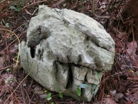 恐竜の頭に似た石灰岩