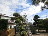 庭木の剪定