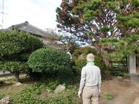 庭木の剪定