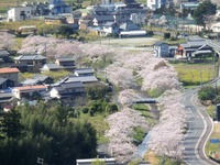 蛇行する敷地川