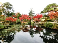 清水邸庭園の紅葉