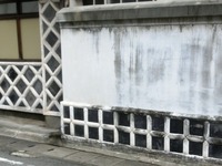 下田の芋張り