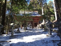 残雪