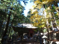 神門（随身門）の前の黄葉