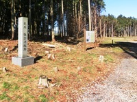 諏訪原城跡