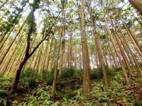 下山途中の風景