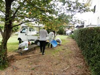 砂町防災公園の生け垣剪定