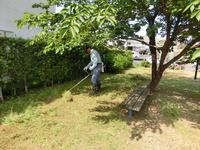 砂町防災公園の草刈り
