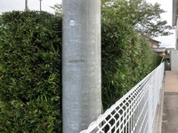 砂町防災公園の生け垣剪定
