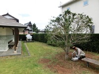 砂町防災公園