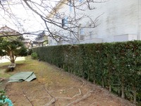 砂町公園の生垣
