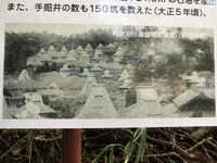古い写真