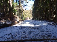 秋葉寺の境内
